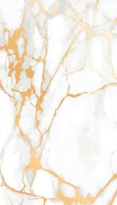 product106