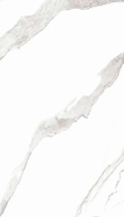 product113