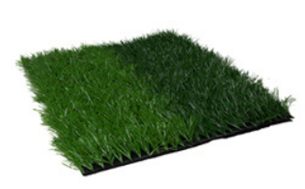 product30