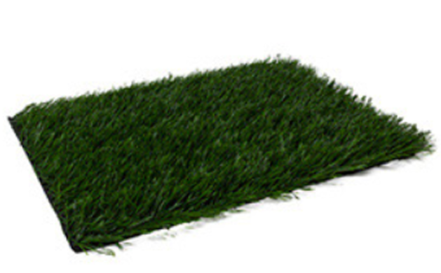 product31